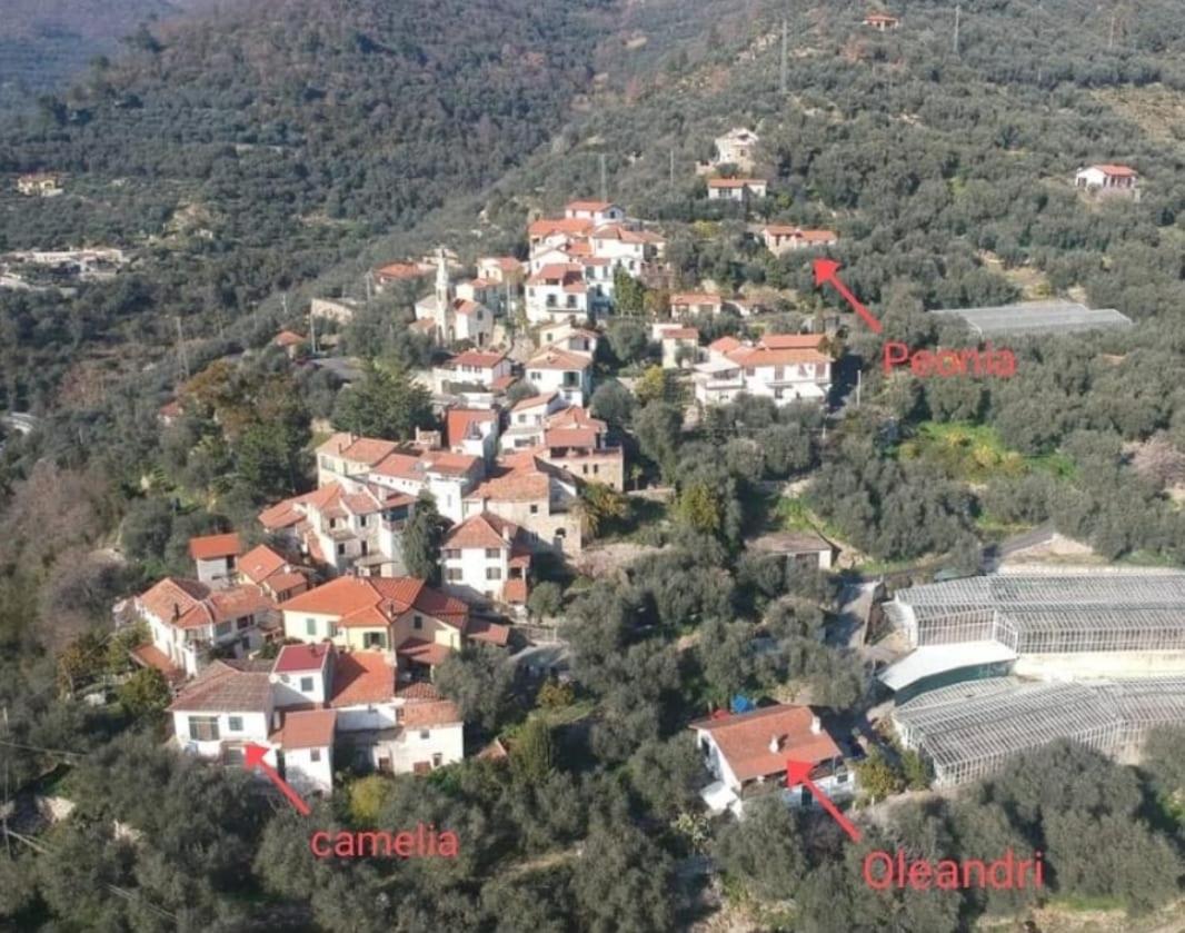 Diano San PietroUliveto别墅 外观 照片